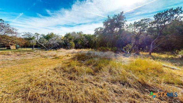 view of local wilderness featuring a rural view