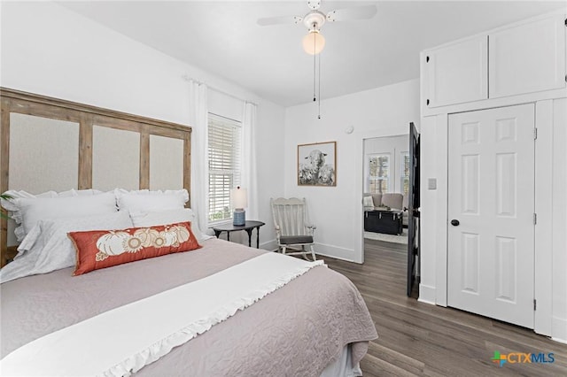 8410 Alaska Ave, Temple, TX 76502 - bedroom featuring dark wood-style floors, multiple windows, and a ceiling fan