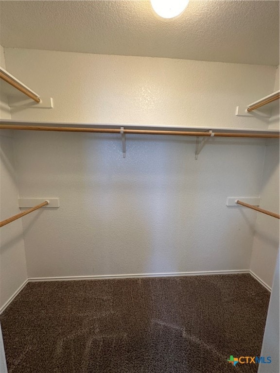 spacious closet with carpet floors