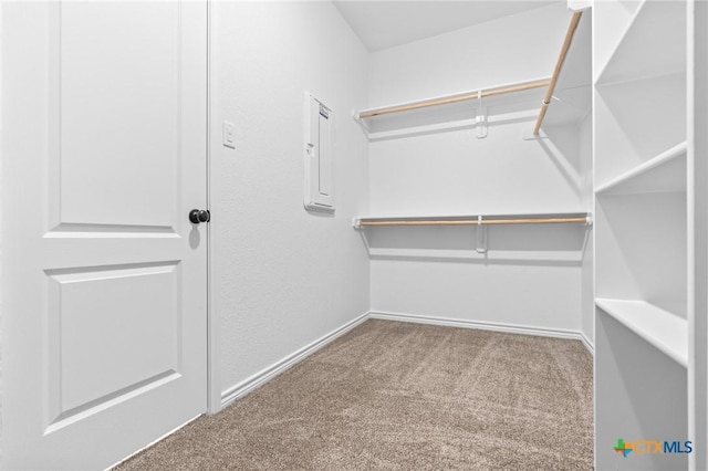 spacious closet with electric panel and carpet floors