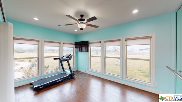 workout room featuring ceiling fan and dark hardwood / wood-style floors