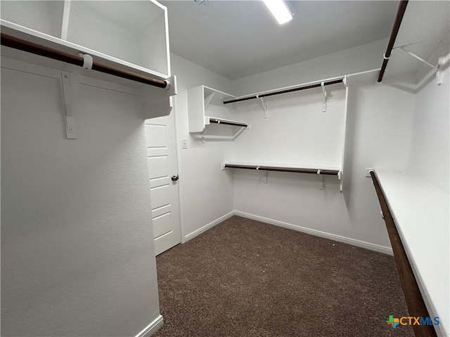 walk in closet with dark carpet