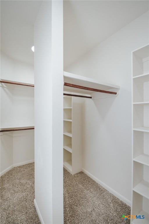 walk in closet with carpet floors