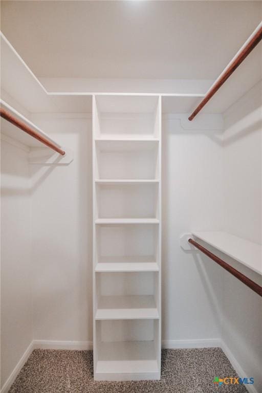 walk in closet featuring carpet floors