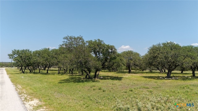 LOT125 Red Stag Ct, Lampasas, TX 76550