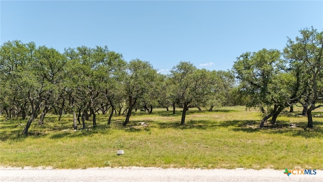 LOT125 Red Stag Ct, Lampasas, TX 76550