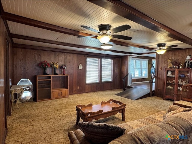 carpeted living room with beamed ceiling, ceiling fan, and wood walls