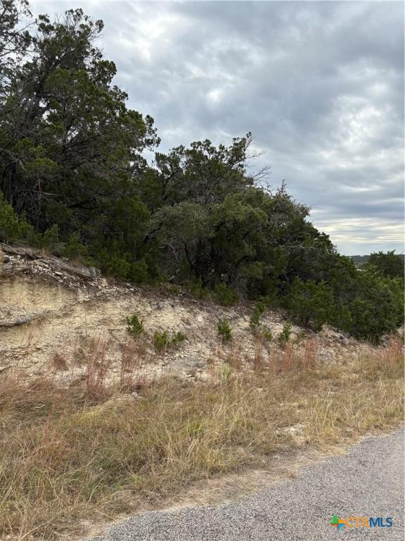 2660 Rocky Ridge Loop, Canyon Lake TX, 78133 land for sale