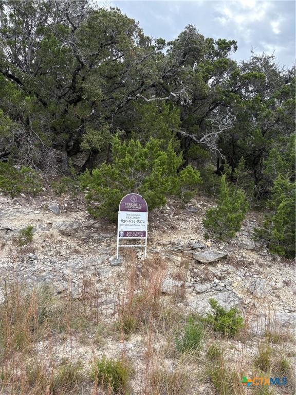 Listing photo 2 for 2660 Rocky Ridge Loop, Canyon Lake TX 78133