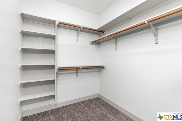 spacious closet with carpet floors