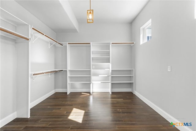 walk in closet with wood finished floors