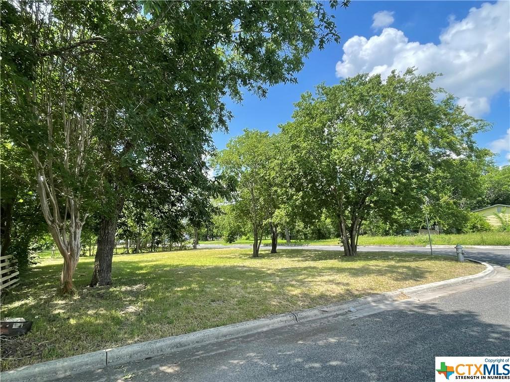 557 Silva St, Seguin, TX 78155 - photo 1
