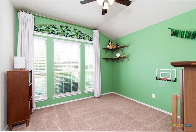1238 Juneberry Park Dr, Temple, TX 76502 - photo 15