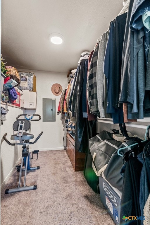 spacious closet with electric panel and carpet floors