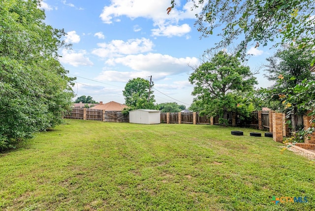 view of yard featuring a storage shed