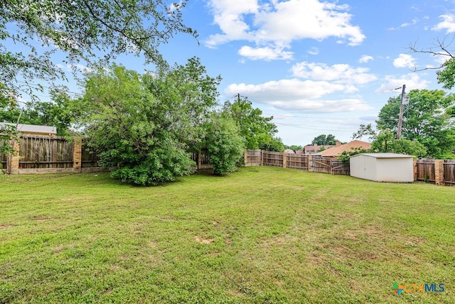 view of yard featuring a storage unit