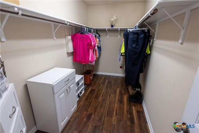 walk in closet featuring dark hardwood / wood-style floors