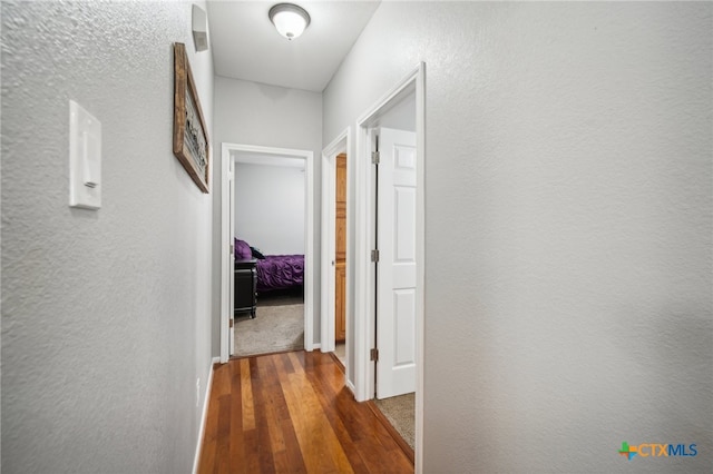 corridor featuring dark hardwood / wood-style flooring