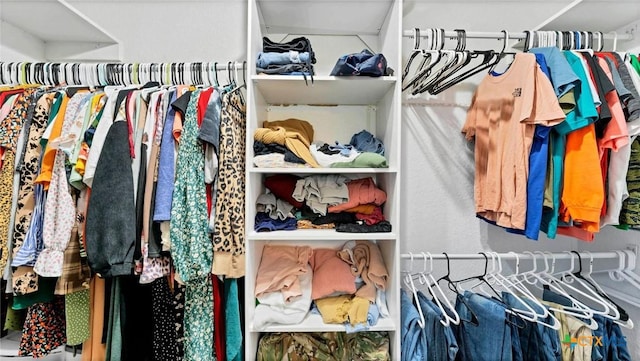 view of spacious closet