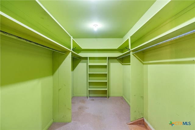 walk in closet featuring light colored carpet