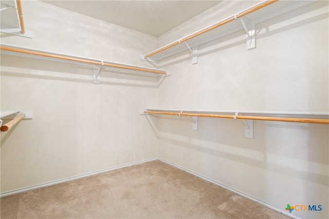 walk in closet featuring light colored carpet