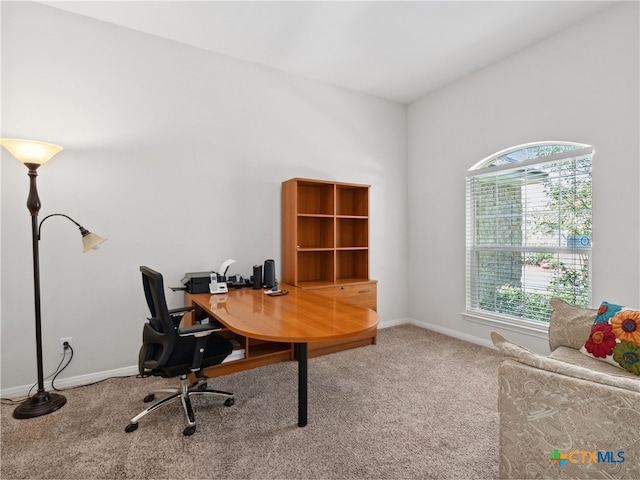 office space featuring carpet floors