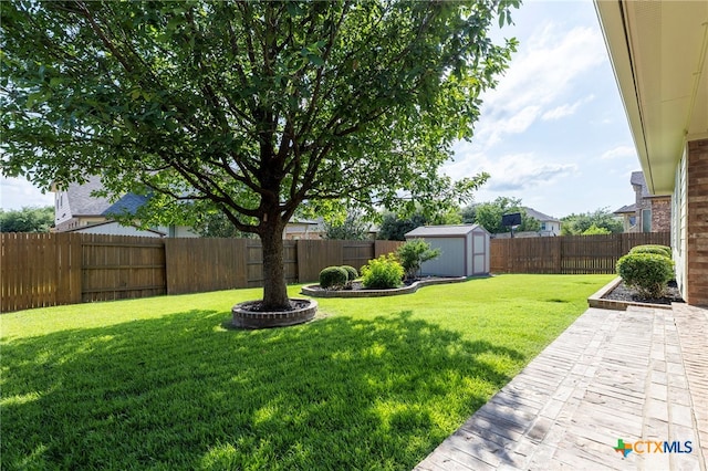 2935 Angelina Dr, Round Rock, TX 78665 - view of yard with a patio