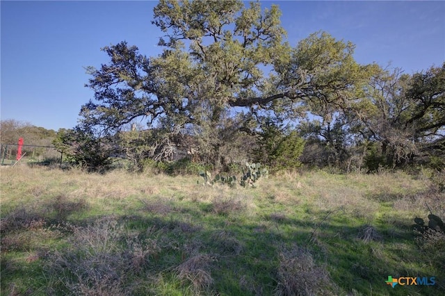 132 Maple Ter, New Braunfels TX, 78132 land for sale