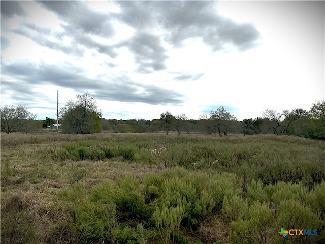 view of nature with a rural view