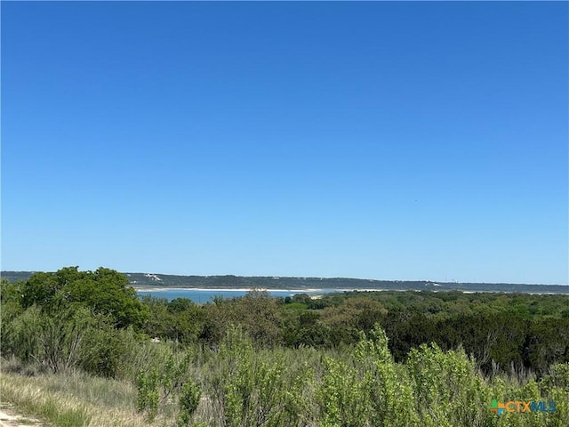 1226 Windy Hl, Salado, TX 76571