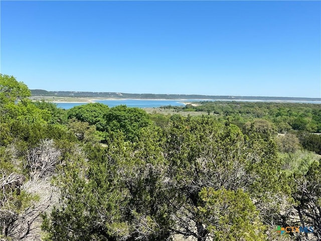 1226 Windy Hl, Salado, TX 76571