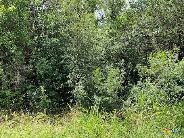 TBD Whippoorwill Dr, Bastrop, TX 78602 - photo 3