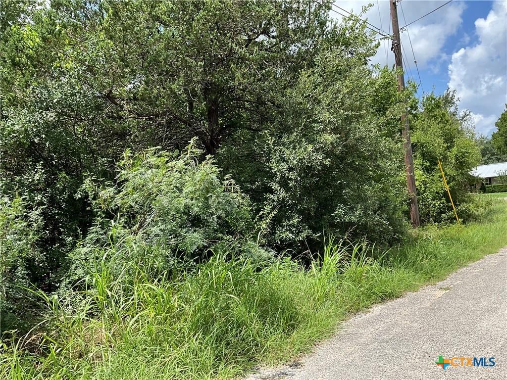 TBD Whippoorwill Dr, Bastrop, TX 78602 - photo 2