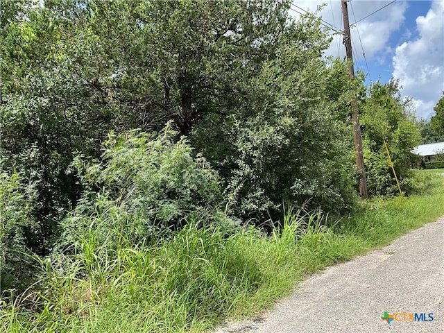 TBD Whippoorwill Dr, Bastrop, TX 78602 - photo 2