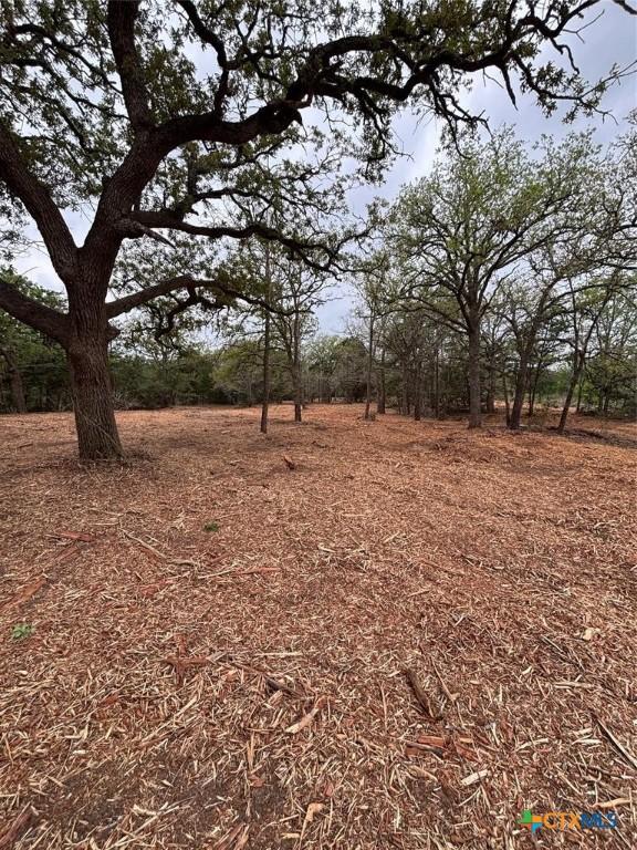 1686 Fm 2104, Paige, TX 78659 - photo 2