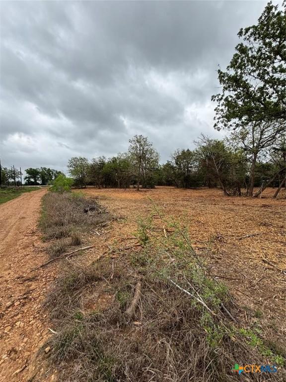 1686 Fm 2104, Paige, TX 78659 - photo 3