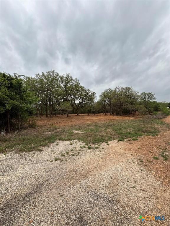 1686 Fm 2104, Paige, TX 78659 - photo 9