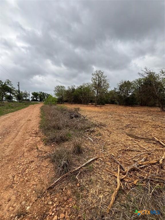 1686 Fm 2104, Paige, TX 78659 - photo 4
