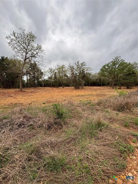 1686 Fm 2104, Paige, TX 78659 - photo 5