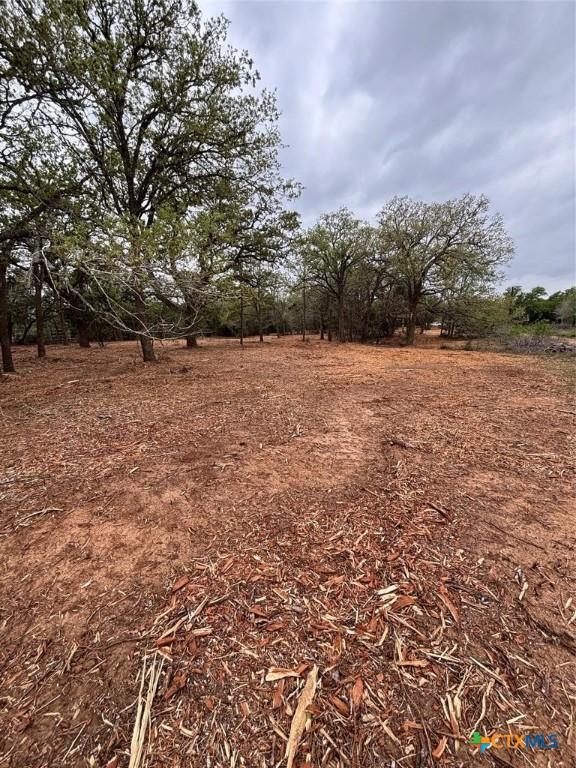 1686 Fm 2104, Paige, TX 78659 - photo 7