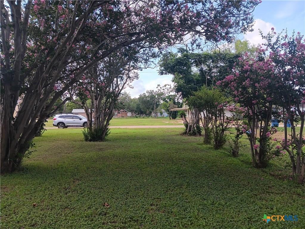 500 N Texas Ave, Nixon, TX 78140 - view of green lawn