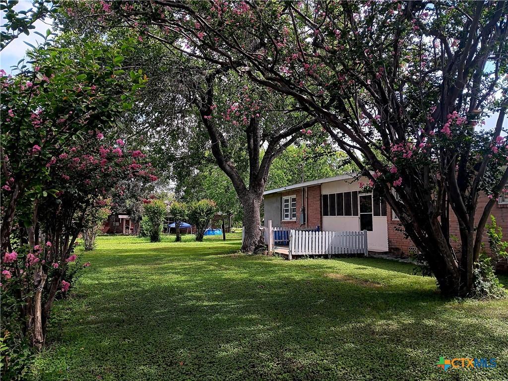 500 N Texas Ave, Nixon, TX 78140 - view of grassy yard