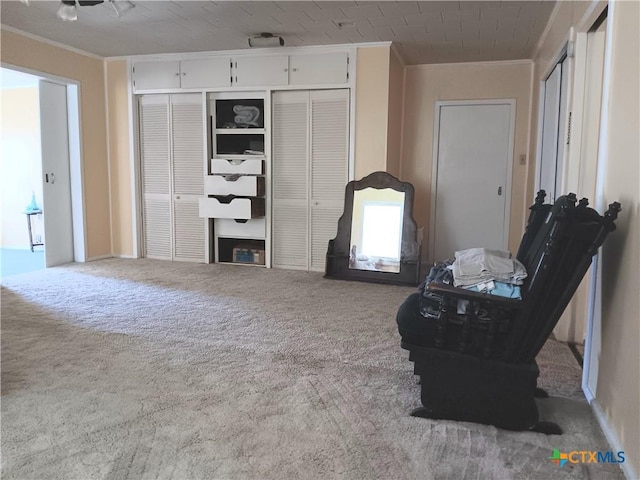 sitting room featuring carpet flooring and crown molding