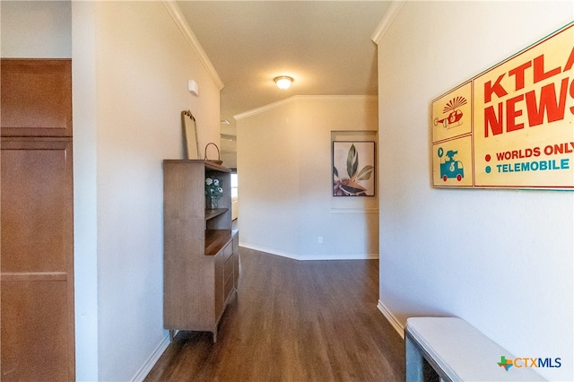 hall featuring dark hardwood / wood-style flooring and crown molding