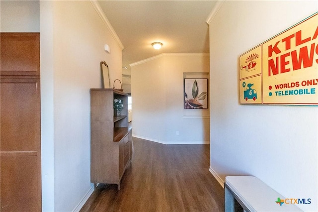 2529 Nolan Creek St, Temple, TX 76504 - hallway with crown molding and dark wood-style flooring