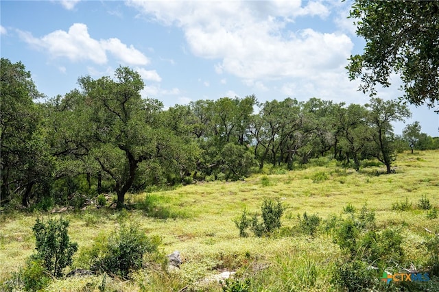425 Copper Crst, New Braunfels, TX 78132 - photo 11