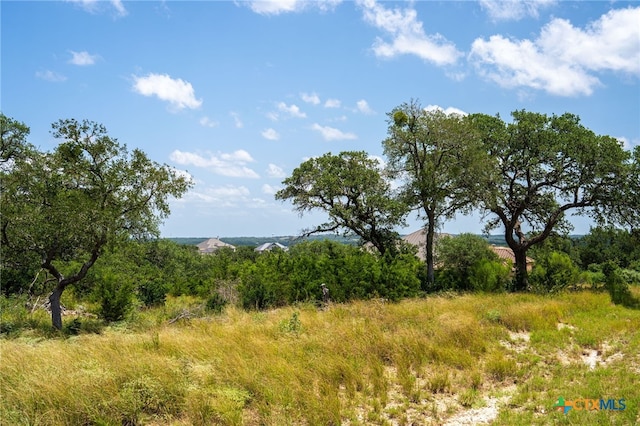 425 Copper Crst, New Braunfels, TX 78132 - photo 22