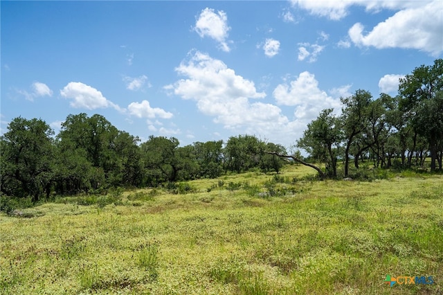 425 Copper Crst, New Braunfels, TX 78132 - photo 8