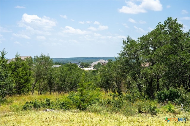 425 Copper Crst, New Braunfels, TX 78132 - photo 7