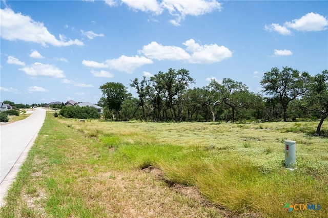 425 Copper Crst, New Braunfels, TX 78132 - photo 5
